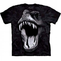 Tee shirt enfant Dino - Big Face Rex