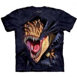 Tee shirt enfant Dino - T-Rex menacant