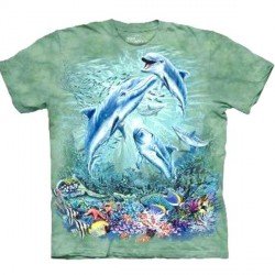 Tee shirt 12 dauphins
